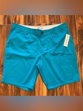 Liz Claiborne Women’s Flat Front Shorts in Turquoise Blue 18W          3252